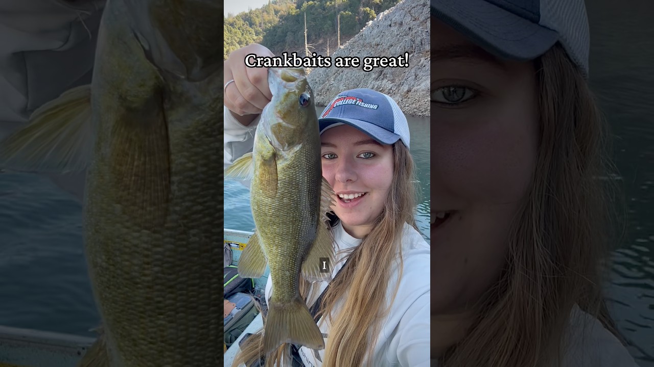 My crank bait caught me a smallmouth bass! #fishing #lure  #shorts