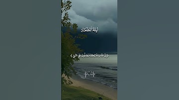 اللهم صل على سيدنا محمد وال محمد  ﷺ ✨🫀  #قرآن #القرآن_الكريم #تلاوة_خاشعة #اكسبلور