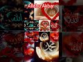 Allahu Akbar #Ankhon ki Thandak#Dil ka sukoon