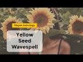 Yellow Seed Wavespell | Mayan Dreamspell Astrology ★☾