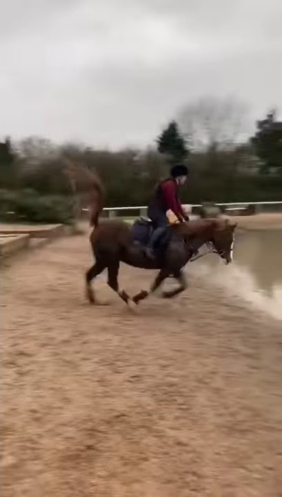 Annia Aurelia at Attington XC