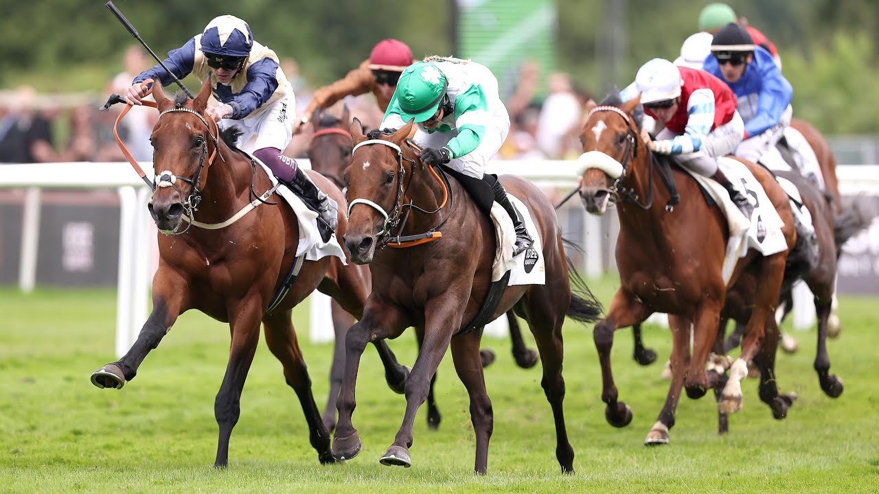 Hamburg: IDEE 156. Deutsches Derby 2025 Sieger: Hochkönig