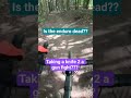 Grave bike identifies as enduro mtb! #mtb #gravelbike