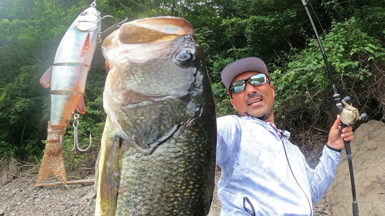 デカいのが追いかけてきたから…【ダウスイチャレンジ2023】 - YouTube