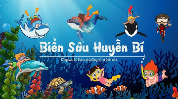 Biển sâu huyền bí | Bé Học Tên Các sinh vật biển| Hải quỳ, sên biển, cá ngừ, cá heo, cá mập, cá voi