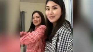 Kumpulan Tiktok Artis Indonesia