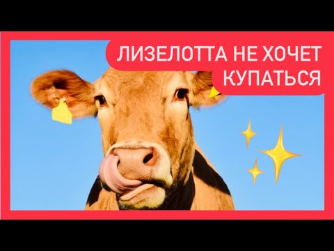 Лизелотта не хочет купаться- Аудиосказка