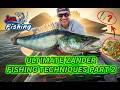 Zander Jigging Tactics How to Trigger Cold Water Monsters ( Part 2 )
