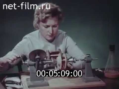 Киножурнал "Хочу всё знать" - Выпуск № 31 - 1963 год
