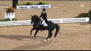 Totilas & Edward Gal WEG Grand Prix Freestyle