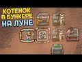 КОТЕНОК В БУНКЕРЕ НА ЛУНЕ ( MewnBase )