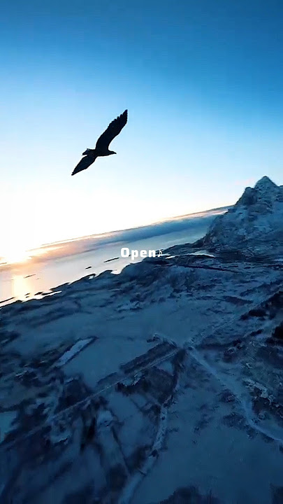 MORTALS ( SLOWED   REVERB)