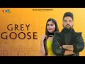 Grey Goose (Official Video) Gur Sandhu | New punjabi song 2020 | Vaaho Entertainments