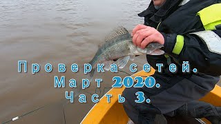 Проверка сетей.  Март 2020.  Часть 3. | Fishing with nets in Finland