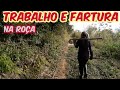 TRABALHO E FARTURA NA ROÇA/Bora pra Roça?