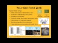 Exploring the Mysteries of Soil Biology