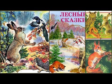 сказки на ночь - лесные сказки Н. Сладкова