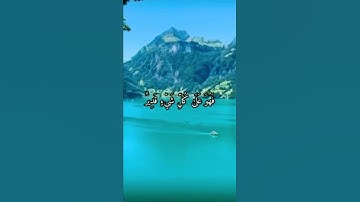 تلاوة هادئة تشرح الصدور😌🌺بصوت الشيخ مشاري راشد العفاسي//قرآن كريم//حالات واتس اب