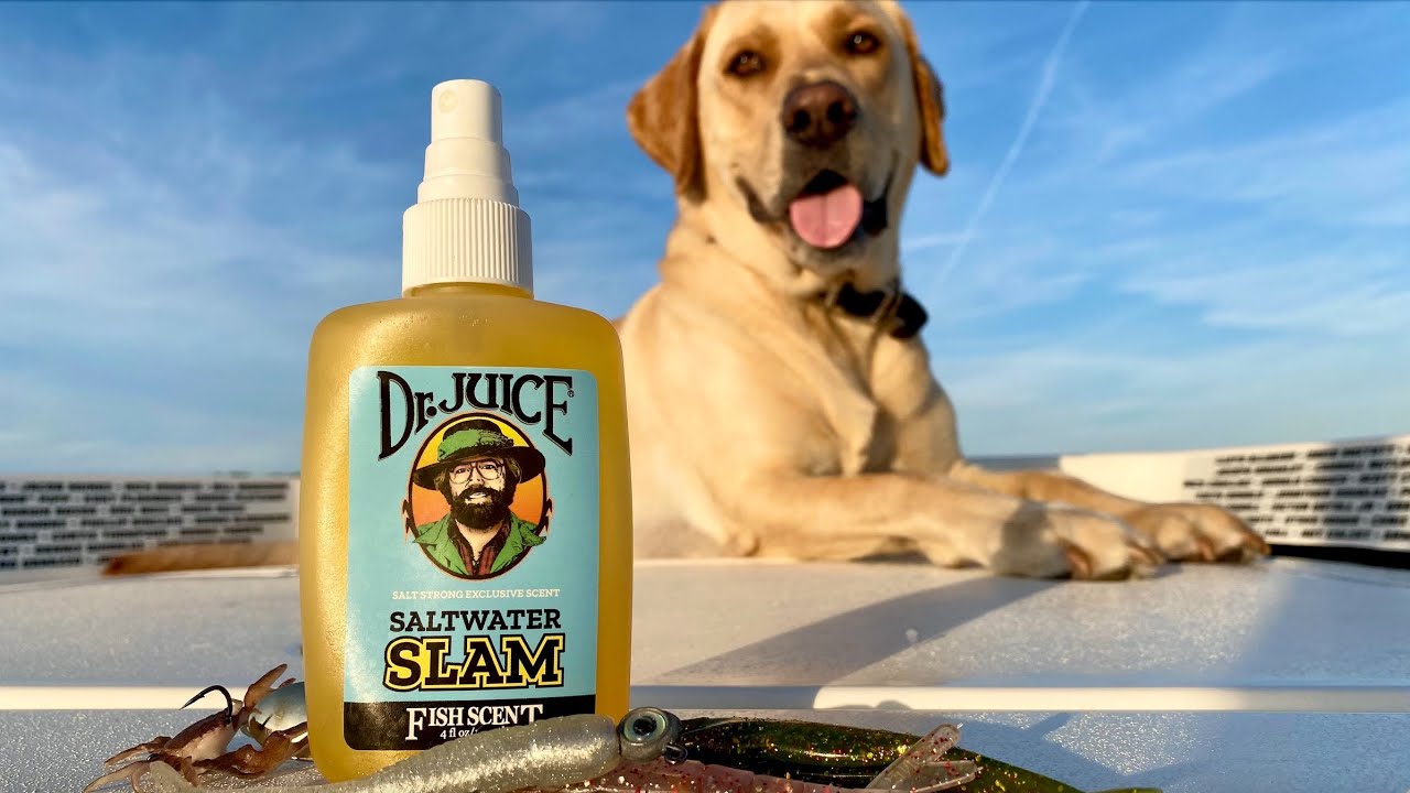 SALTWATER SLAM FISH SCENT: Best Lure Scent For Redfish, Trout, Snook,  Flounder, & Sheepshead 