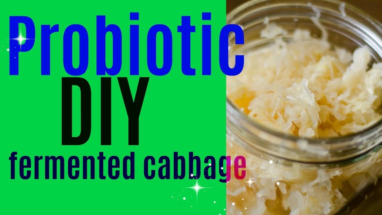 DIY Probiotic Fermented CabbageFull of Beneficial Bacteria YouTube