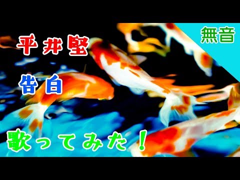 平井堅　告白　無音Ver.　歌ってみた、にどうぞ！　歌詞付き　cover　full　ひらいけん　カバー　フル