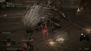 Maliketh - RL1 NG+7 +0 Weapons No Roll/Aux/Buffs (Round 2) @Zott_