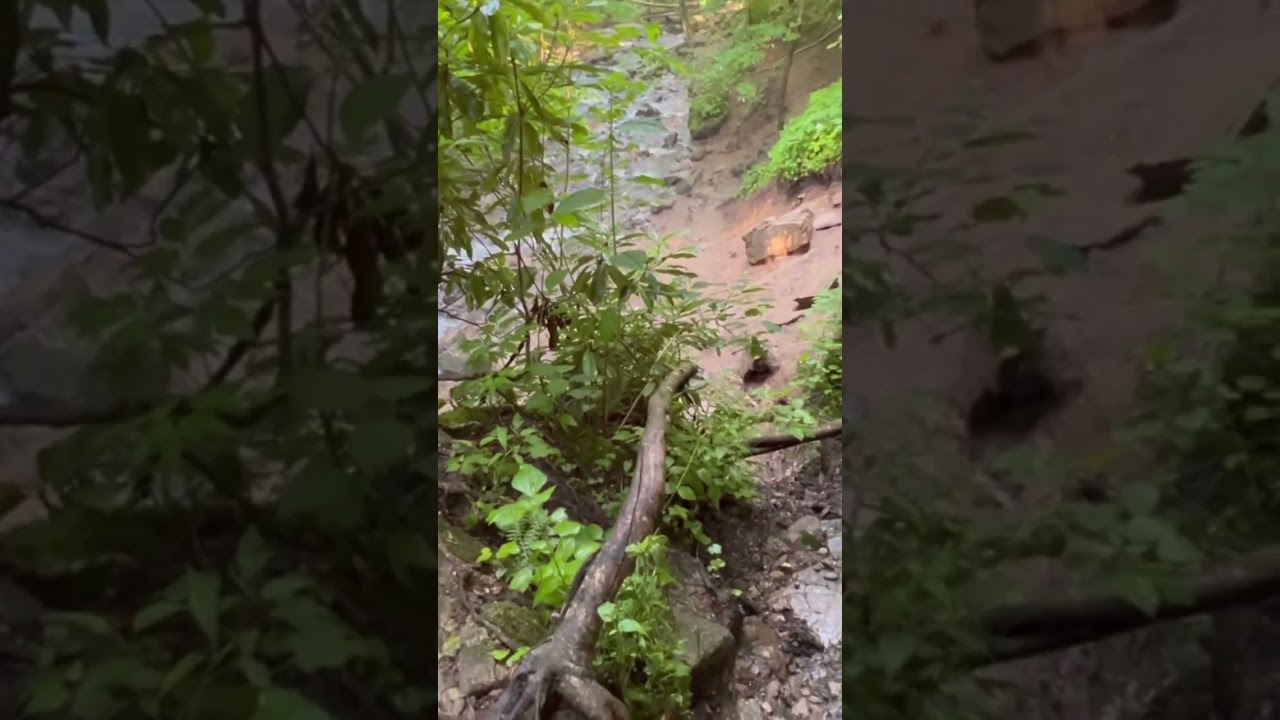 Soco Falls, Cherokee,NC. 