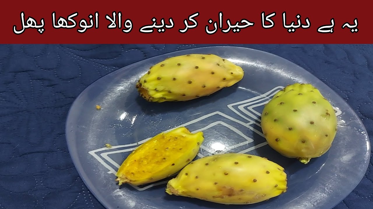 Facts about tuna fruit Tuna Fruit YouTube