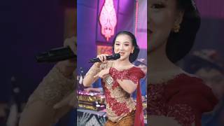 Download Lagu Lala Atila - Loro Ati 2 | wes miliho tresno aku opo dewek e wes miliho dadi bojoku opo bojone MP3 Download Lagu Lala Atila - Loro Ati 2 | wes miliho tresno aku opo dewek e wes miliho dadi bojoku opo bojone MP3