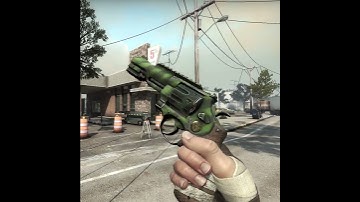 (CSGO) R8 REVOLVER | Survivalist
