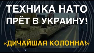 Очевидцы в шоке: «Бескрайняя колонна» НАТО прёт в Украину. Помощь близко