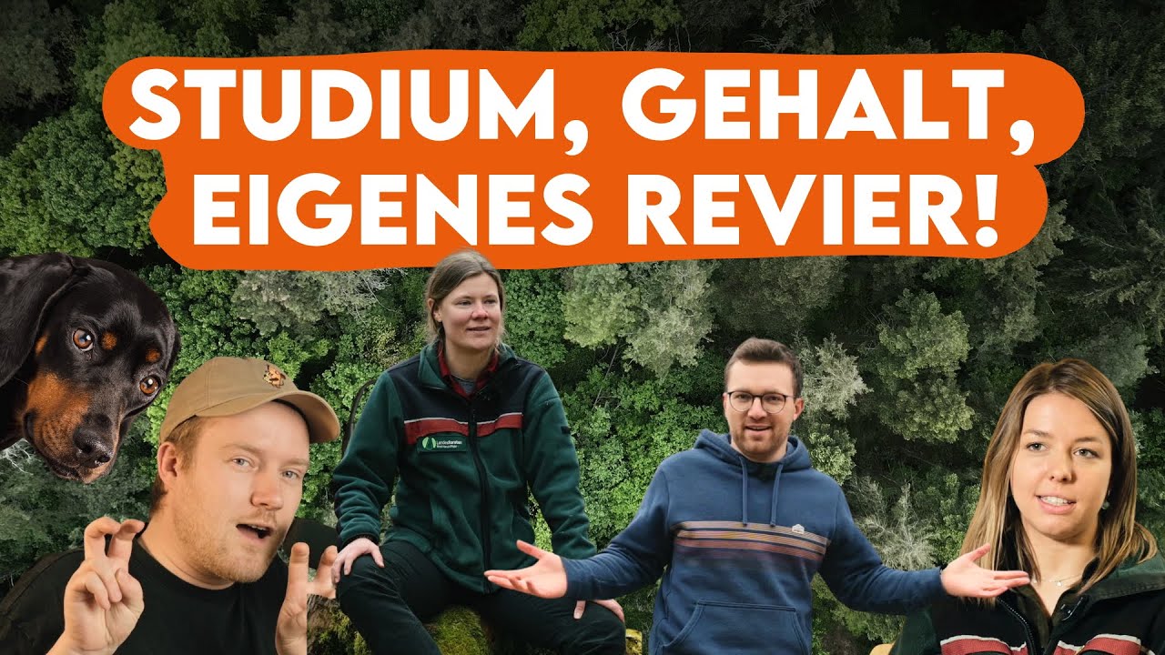 So wird man FÖRSTER oder FÖRSTERIN! Alles was du 2025 wissen musst  - Forst erklärt