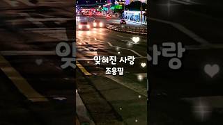 #조용필 #잊혀진사랑 #인기가요 #감성힐링tv