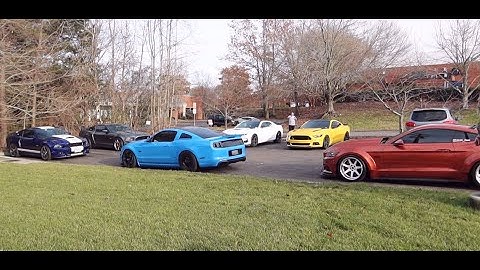Datalogging My 2015 Mustang GT *With Friends*