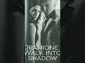 dramione  walk into shadow - Kapitel 9