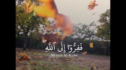 تلاوة تثلج نبضات القلب - حالات واتس آب دينية - حالات انستقرام - قرآن - Quran