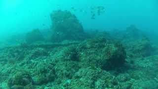 Azores, Terceira - Angra Dive 20131201