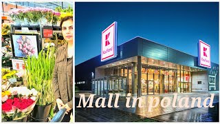 Grocery Shopping In Polandeurope Daily Vlog Desi Mom