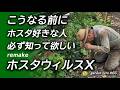 知っておかないと庭のギボウシ全滅も【HVXリアル体験談】