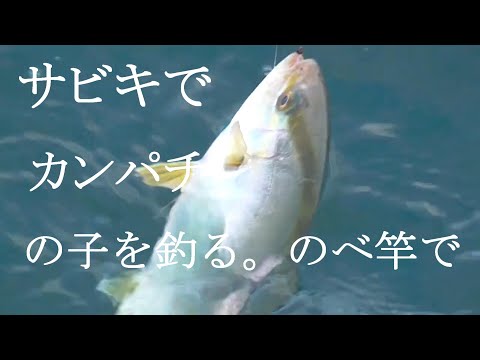 釣太郎オススメ！ - YouTube