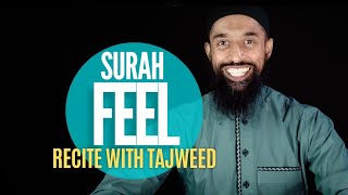 Surah Feel 105 | Learn to Recite with Tajweed