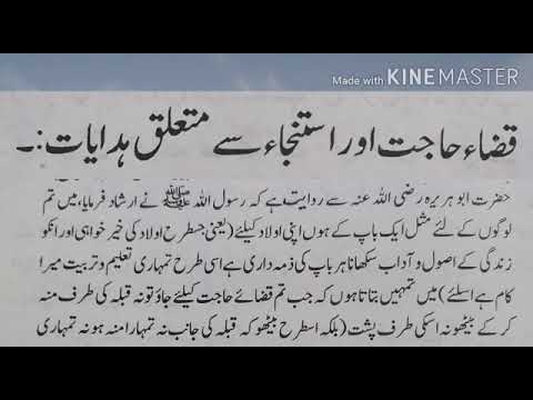 قضائے حاجت اور استنجا سے متعلق ہدایات