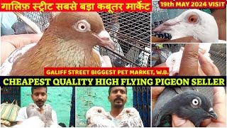 Quality High Flying Pigeon Seller | সবচেয়ে বড় পায়রার হাট | Galiff Street Pet Market, W.B. | 19/05/24