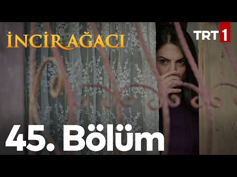 İncir Ağacı 45. Bölüm