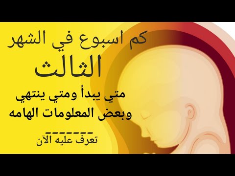 فيديو: كم عدد الاسابيع عندما لديك 3 اشهر؟