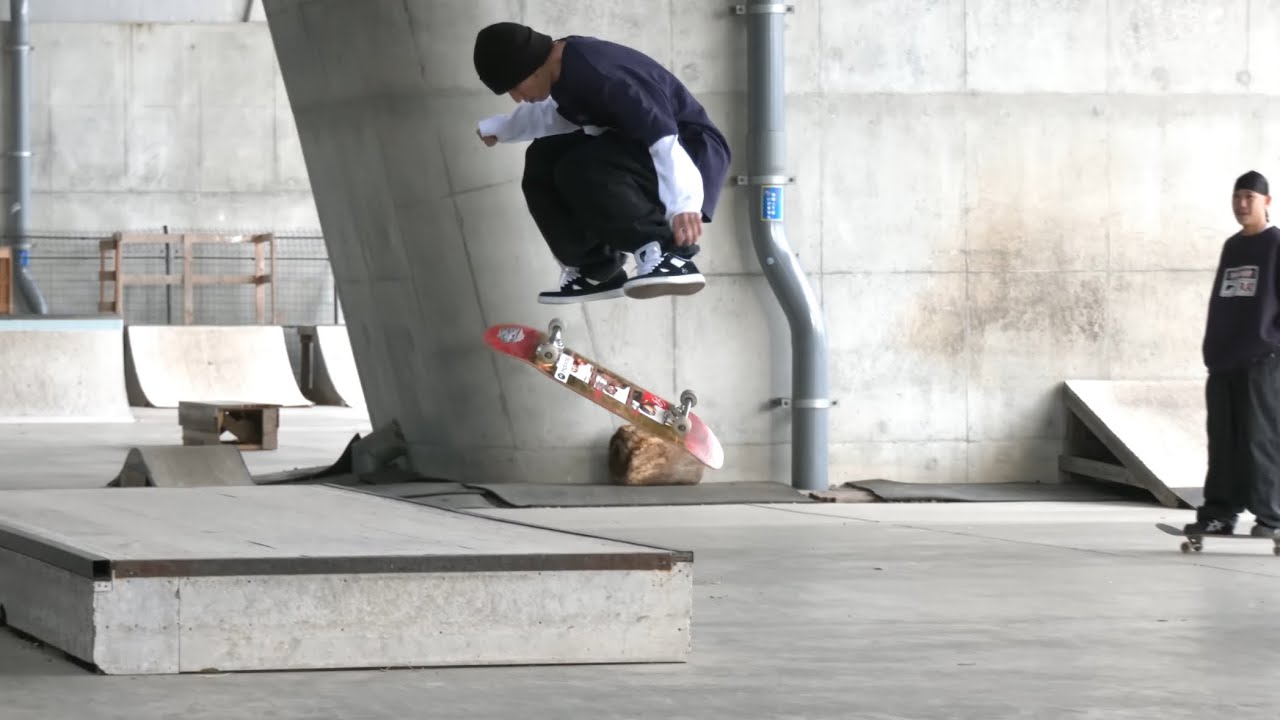 スケートボード Tatsuya Yanagitani 楽天市場】EVISEN DECK エビセン デッキ KOTORA MITANI TORA
