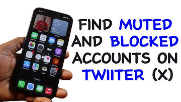 How to Find Blocked and Muted Accounts on X (Twitter)