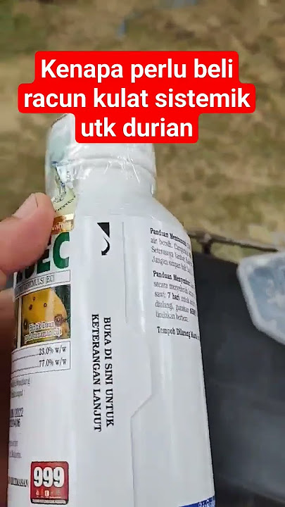 Kenapa perlu beli racun kulat sistemik untuk anak durian #racunkulatdurian #penyakitdurian