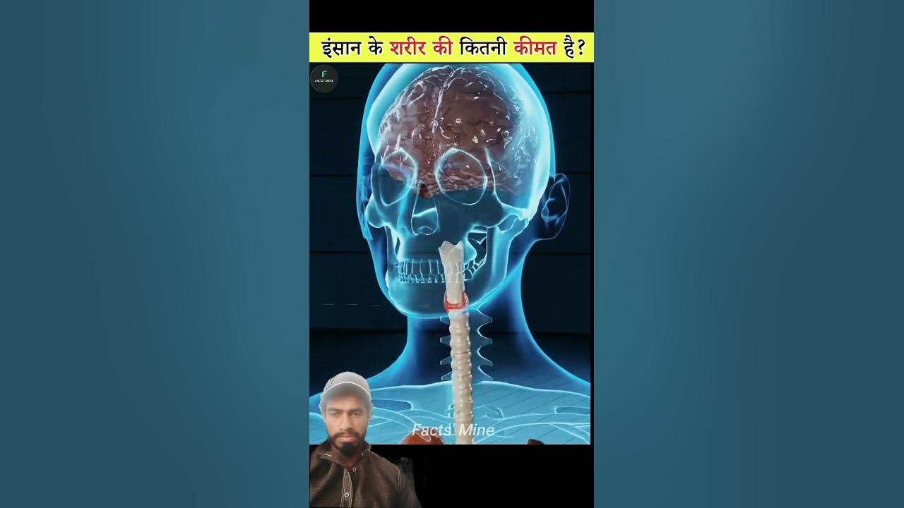 24-march-2025-how-much-human-body-part-facts-viralvideo-subscribe