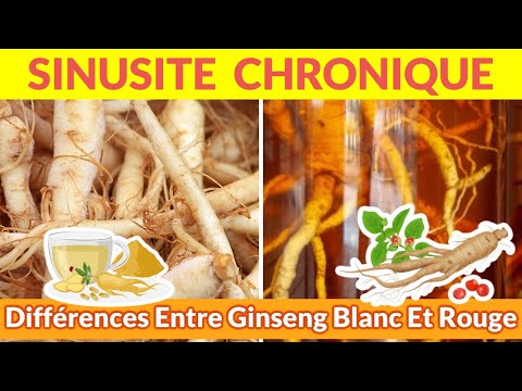 Vidéo: Variétés de plantes de ginseng : existe-t-il différents types de ginseng ?